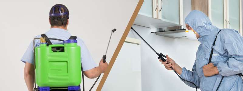 Bed Bug Treatment Bed Bug Treatment